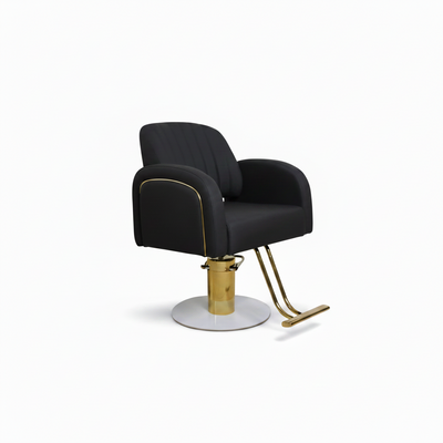 Professional Salon Styling Lady Chair Hydraulic Hair Salon Chair 699